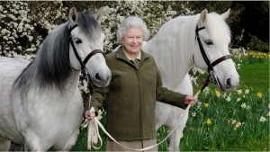 Ο βασιλιάς Κάρολος θα <br> πουλήσει 12 άλογα <br> της Ελισάβετ