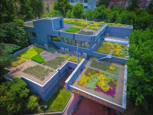 Χρυσό βραβείο σε <br> Ελληνικό δήμο για <br> κήπο στο δημαρχείο