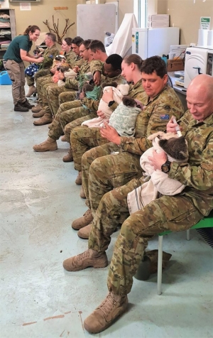Αυστραλοί στρατιώτες <br> ταίζουν κοάλα με <br> μπιμπερό (vid)