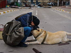 Ουκρανός μιλάει στο  σκυλί του που  πάγωσε από το φόβο του