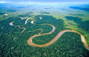 Παράνομη όλη η <br> αποψίλωση του <br> δάσους του Αμαζονίου