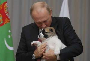 Ένα σκυλάκι δώρο <br> γενεθλίων στον <br> Βλαντιμίρ Πούτιν