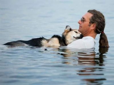 O άνθρωπος που <br> ανακουφίζει στη λίμνη <br> τον πόνο του σκύλου