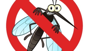 Τα μυστικά για <br> να μην έχετε <br> κουνούπια στο σπίτι