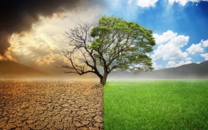 Bloomberg: Η κλιματική <br> αλλαγή θα ερημοποιήσει <br> την Αττική!