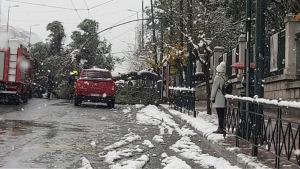 Έπεσε δέντρο <br> στη Β. Σοφίας από <br> το χιόνι! (εικόνα)