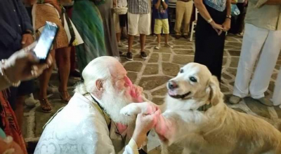 Ο ιερέας που επιτρέπει <br> σε σκυλάκια να μπαίνουν <br> στην Εκκλησία (εικόνα)