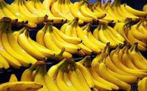 Κίνδυνος να <br> εξαφανιστούν οι <br> μπανάνες από τη Γη!