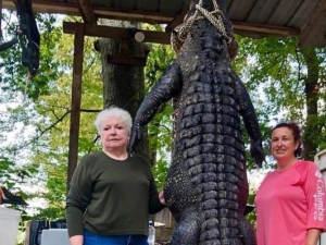 73χρονη δήμαρχος <br> σκότωσε αλιγάτορα <br> γιατί έφαγε το...