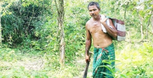 Ο υπεράνθρωπος Ινδός <br> που έφτιαξε μόνος του <br> ένα δάσος (βίντεο)