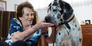 Ένας σκύλος έσωσε <br> γυναίκα από το <br> Ολοκαύτωμα (εικόνα)
