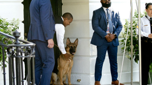 Ο σκύλος του Μπάιντεν <br> δαγκώνει τους πράκτορες! <br> Τρόμος στο Λευκό Οίκο