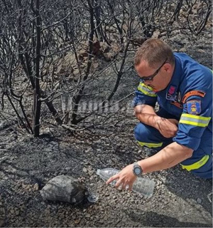 Πυροσβέστης δίνει  νερό σε χελώνα στη  φωτιά του Μαρτίνου