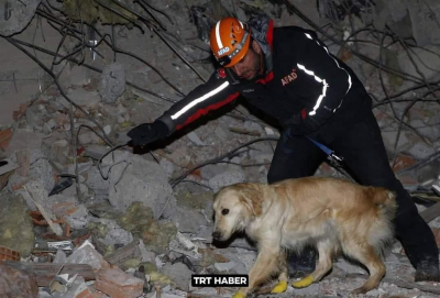 Η αυταπάρνηση του <br> τραυματισμένου σκύλου <br> διασώστη στην Τουρκία