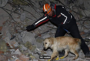 Η αυταπάρνηση του  τραυματισμένου σκύλου  διασώστη στην Τουρκία