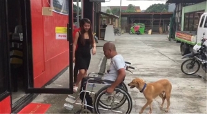 Σκύλος σπρώχνει το <br> αναπηρικό αμαξίδιο του <br> ανθρώπου του! (εικόνα)