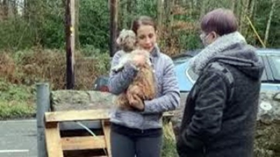35χρονη βρήκε <br> το σκυλάκι της <br> μετά από 8 χρόνια!