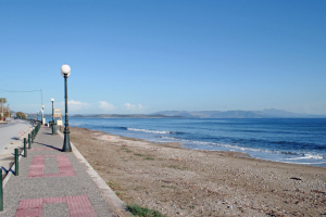 Δήμος Μαραθώνα και <br> ΣΚΑΙ καθαρίζουν <br> τις παραλίες