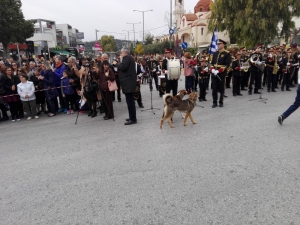 Στη μαθητική παρέλαση  και ο σκυλάκος  ''Σελίδας'' (εικόνα)
