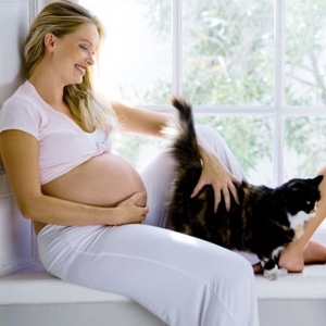 Τι να προσέχουν <br> οι έγκυες με γάτα <br> στο σπίτι
