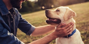 Οι 5 λόγοι για <br> να γυμνάζεστε <br> με τον σκύλο σας