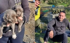 Ακτιβιστές έσωσαν<br> σκυλάκια σε ερημική <br> βραχονησίδα