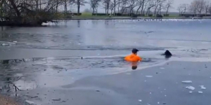 Άνδρας βούτηξε σε <br> παγωμένη λίμνη για <br> να σώσει σκυλί!