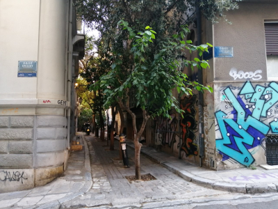 Ο άγνωστος μικρότερος, αλλά <br> ωραιότερος δρόμος του <br> κόσμου στην Αθήνα (εικόνες)