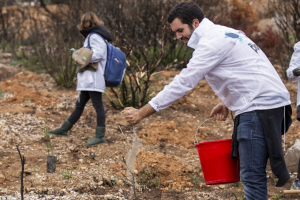 Άλλα 1000 δενδράκια  φυτεύτηκαν στο Ντράφι  ''Πράσινος'' εθελοντισμός