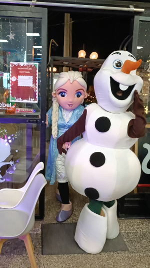 Πικέρμι Οι ήρωες <br> του Frozen στο <br> Happy Twins