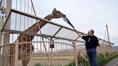 Ζωολογικός κήπος δεν <br> έχει έσοδα για να <br> φροντίσει τα ζώα (εικόνες)