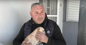 Τυφλή σκυλίτσα στη Νάουσα <br> περπάτησε 10χλμ για να <br> βρει τον άνθρωπό της (video)