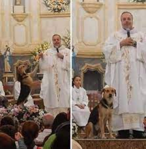 Ο ιερέας που τελεί <br> λειτουργία μαζί με <br> αδέσποτα σκυλιά