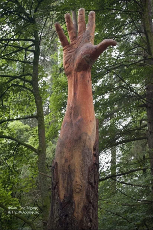 Το χέρι προς τον <br> Θεό Το δέντρο θαύμα <br> στην Ουαλία (εικόνα)