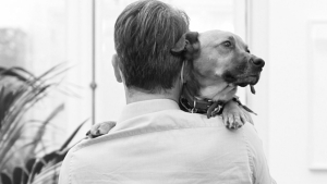Ο Κυριάκος Μητσοτάκης <br> αγκαλιά με τον <br> σκύλο του Πίνατ (εικόνα)