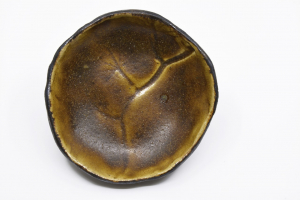 Ραφήνα Η νέα  συλλογή ''βότανα'' από  το Menero Keramiki