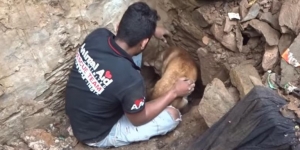Σκυλίτσα έσκαψε με  τα νύχια της να  σώσει τα κουτάβια (βίντεο)