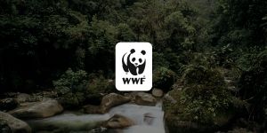 Το WWF για <br> τον πύρινο <br> όλεθρο στο Μάτι