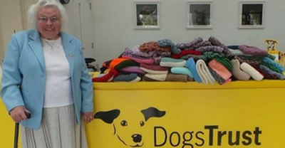 89χρονη πλέκει πουλόβερ <br> και κουβέρτες για <br> τα αδέσποτα σκυλάκια