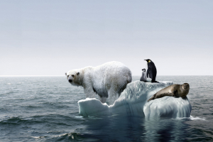 Σήμα κινδύνου από <br> τη NASA για την <br> υπερθέρμανση της Αρκτικής