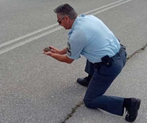 Αστυνομικός περνάει <br> χελωνάκι από <br> τον δρόμο! (εικόνες)