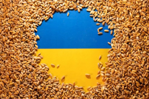 Δύο διαδρομές από <br> Ουκρανία για <br> σιτηρά στην Ευρώπη
