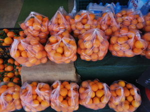 Ραφήνα Ζουμερά και <br> μυρωδάτα πορτοκάλια <br> &#039;&#039;με την οκά&#039;&#039;!