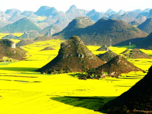 Μοναδικό υπερθέαμα της <br> φύσης! Ο κίτρινος παράδεισος <br> της Κίνας (εικόνες)