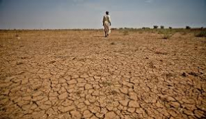 2.500.000 άνθρωποι <br> στην Κένυα κινδυνεύουν <br> από την ξηρασία