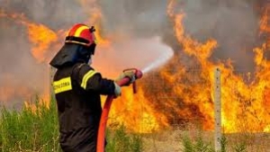 Φωτιά στην  Καλλιτεχνούπολη  Καίει χαμηλή βλάστηση