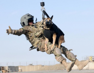 Καλούνται για... <br>  &#039;&#039;κατάταξη&#039;&#039; στον Στρατό <br> 193 σκύλοι!