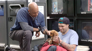 Ο κτηνίατρος των <br> ζώων των άστεγων <br> ανθρώπων (pics)