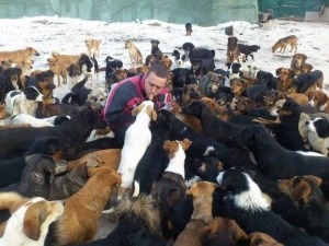 Ο άνθρωπος που έχει <br> σώσει πάνω από <br> 1200 σκυλιά (εικόνες)