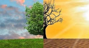 Ημερίδα στη Ραφήνα <br> για τις φυσικές <br> καταστροφές και το κλίμα